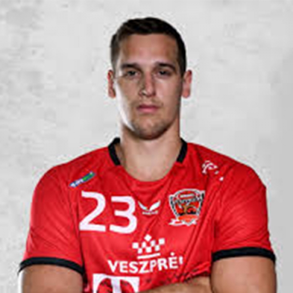 Patrik Ligetvári